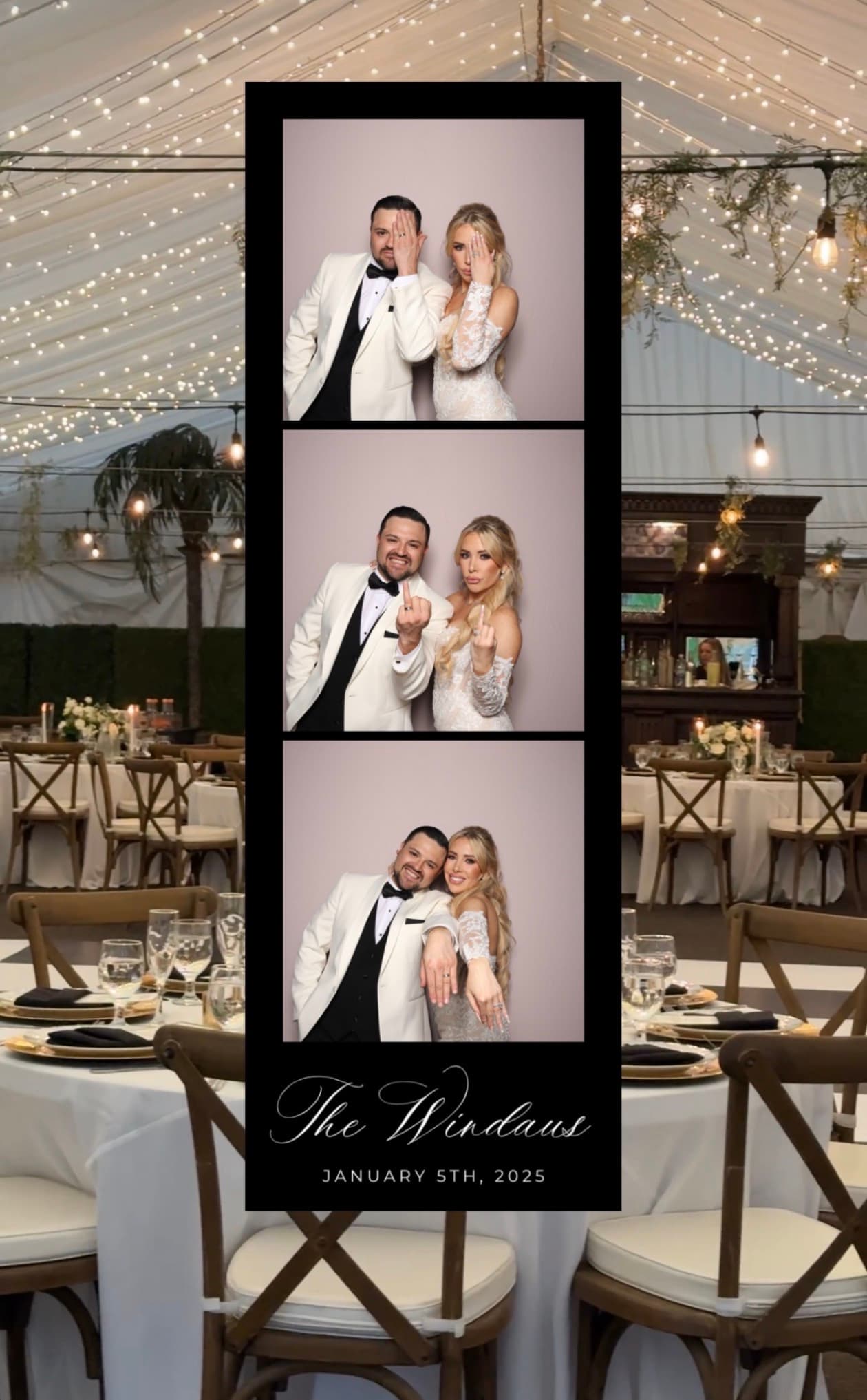 Bande photo mariage The Windaus sous tente illuminée